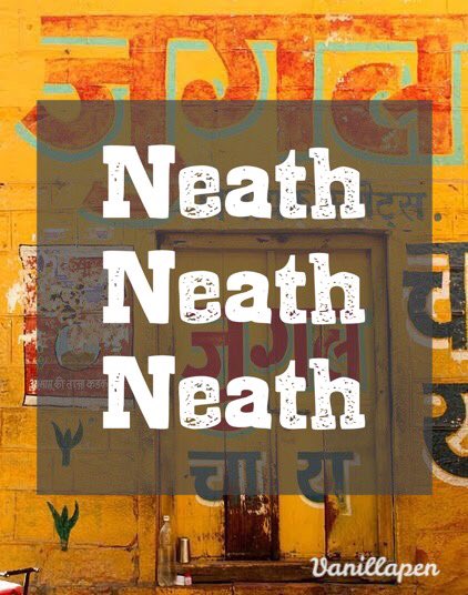 The Dish Served tweet media