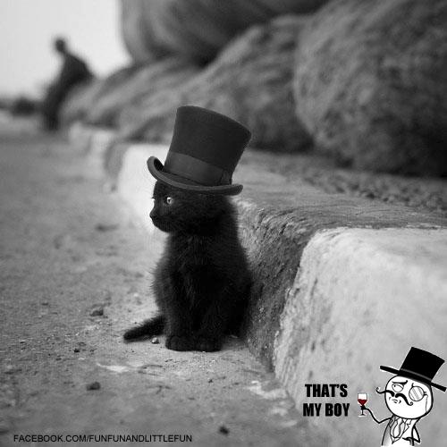 Rapper_Resource's tweet image. To err is human, to blame it on somebody else shows management potential.