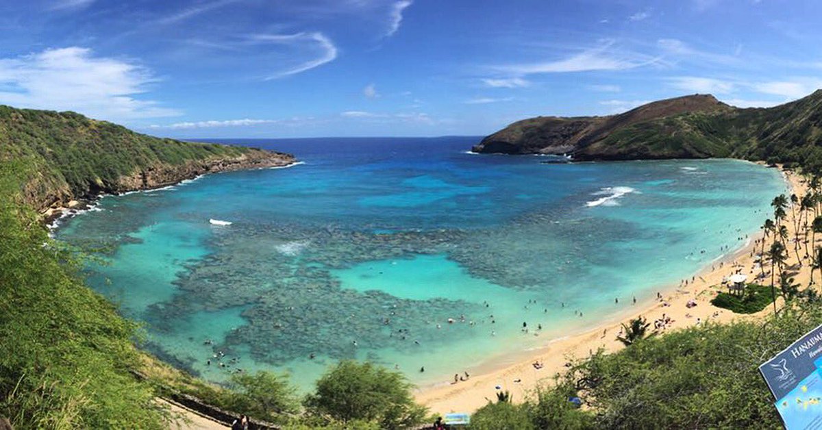 🐠🐟🐢😍#hanaumabay #hawaii #snorkel #honeymoon