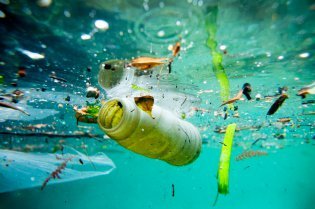 LDIFoundation's tweet photo. Biodegradable plastics are not the answer to reducing marine litter, says @UNEP. https://t.co/UF6QFWBl0I  @SeaLaunay @LeoDiCaprio @ASteiner https://t.co/p92eJg2Yz4