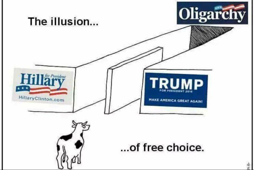 Elewashington's tweet photo. #TrumpIsHillary #HillaryIsTrump I will not willingly vote for my demise. #GoingGreen #JillNotHill #SteinBaraka https://t.co/z0qUDkAk1l