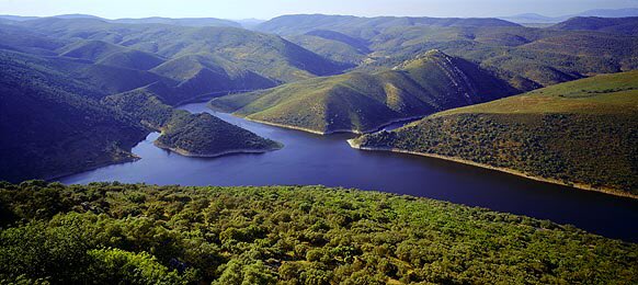 norbamedia's tweet photo. Parque Nacional de Monfragüe, belleza y naturaleza en estado puro. 
#Monfragüe #Cáceres #Extremadura https://t.co/bHgsA9j3Y0
