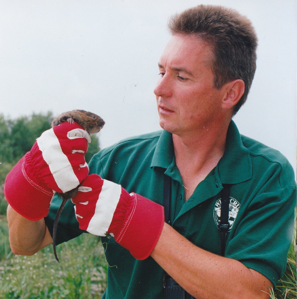 AliDriverUK's tweet photo. My #highlightsof34yrs in conservation @EnvAgency - 18 - best legal achievement - securing full protection for #WaterVoles with Rob Strachan https://t.co/Z9k8fHeq2i