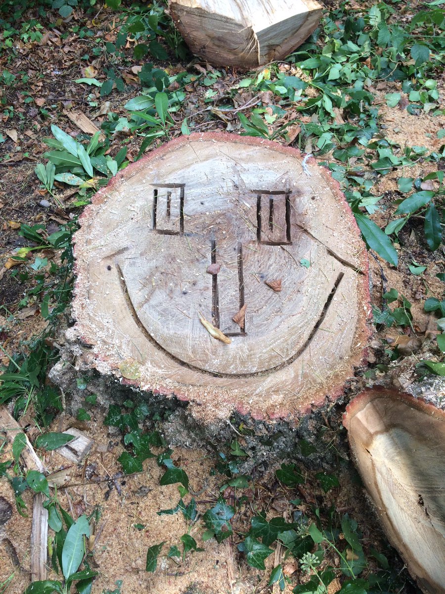 groundsmansteve's tweet photo. Be Happy #hatchgrange https://t.co/eZVvJm4ACS