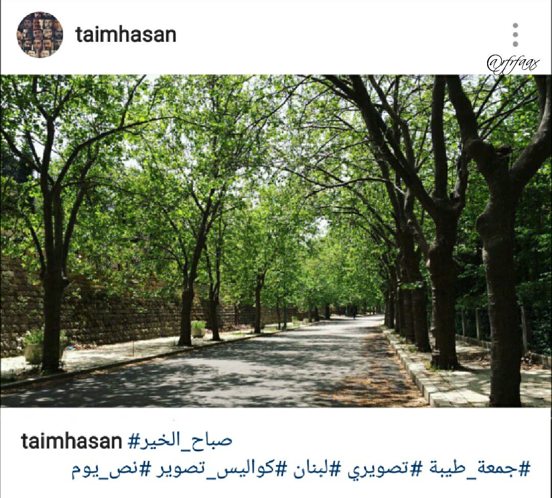 u42KgOvaLw9xcIF's tweet photo. #تيم_حسن #لبنان #صباح_الخير #جمعة_مباركة #تيم_حسن_مسيره_ابداع https://t.co/jQvjMFT97N
