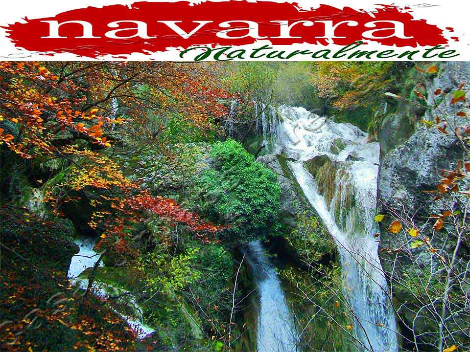 Angel_Monton's tweet photo. #EstellaLizarra acoge I Foro de Innovación Turística de #Navarra https://t.co/3i60xO9te2 #TurismoEstella . #TurismoRural #TurismoNavarra https://t.co/zcKAf4vY9d