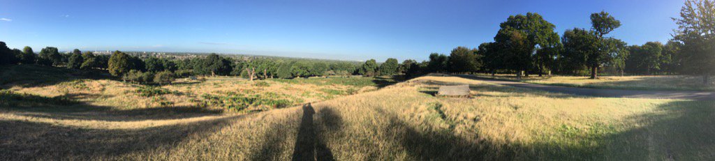 Conker Design tweet media