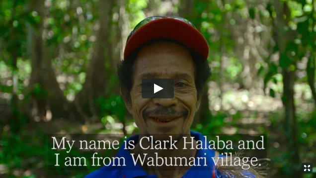coolearth's tweet photo. Welcome to Wabumari, our newest rainforest-saving partner village in Papua New Guinea [VIDEO] https://t.co/LhWevm3dYO #WelcomeWabumari https://t.co/6NUIjnkNEC
