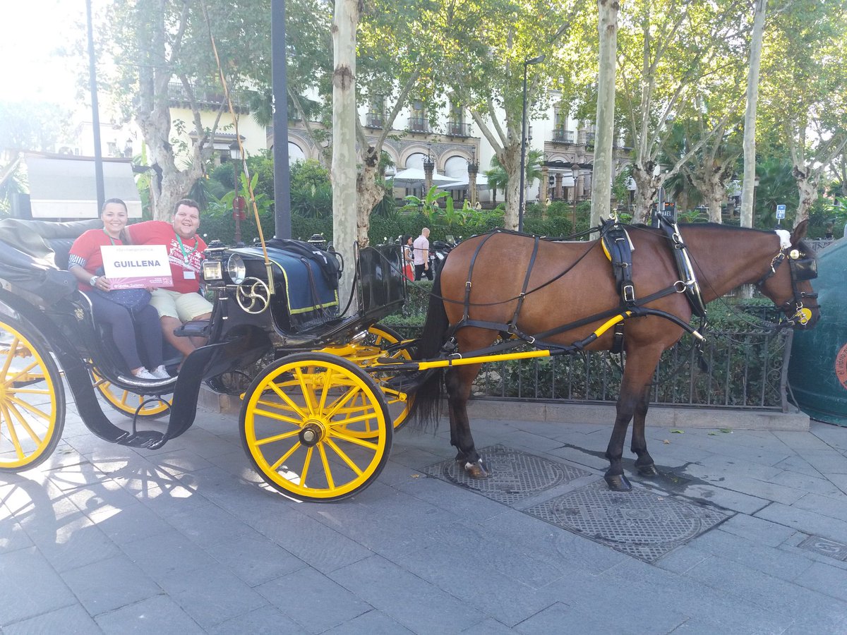 cristinaboa19's tweet photo. En el coche de caballo más brillante de toda Sevilla! #Sevillaesprovincia @Sevilla_Turismo  @zerpanadamas https://t.co/PNiJzvIQvW