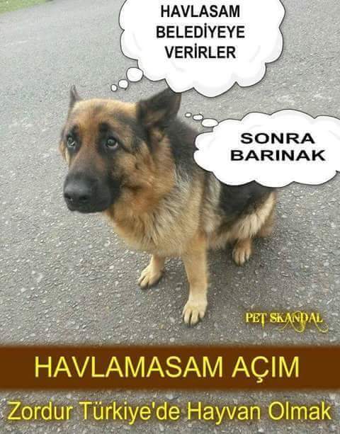 NpNur56's tweet photo. :((((( https://t.co/izOfOnM9cP