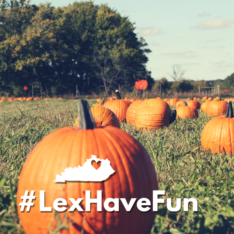 RectorHayden's tweet photo. #LexHaveFun - Check out all the amazing community events coming up in October! ππ
https://t.co/Hpx8kMbGGQ https://t.co/hg5ryQ1luz