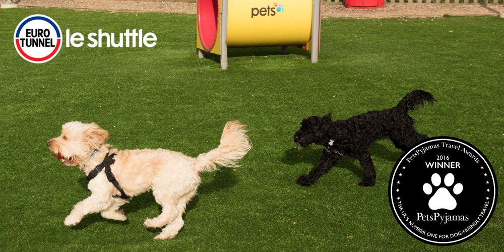 LeShuttle's tweet image. Delighted and proud to announce we've won the @PetsPyjamas 2016 'Best Dog Friendly Carrier' award!
