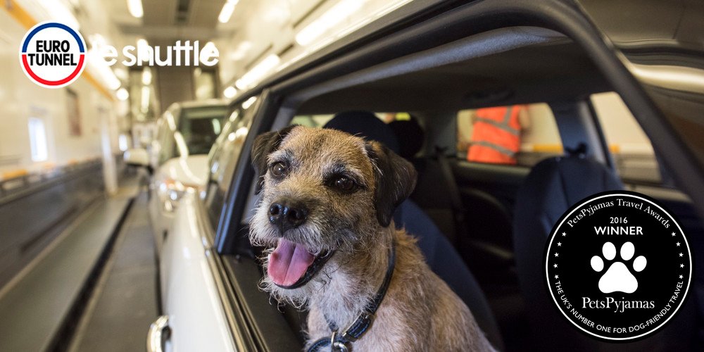 LeShuttle's tweet image. Delighted and proud to announce we've won the @PetsPyjamas 2016 'Best Dog Friendly Carrier' award!
