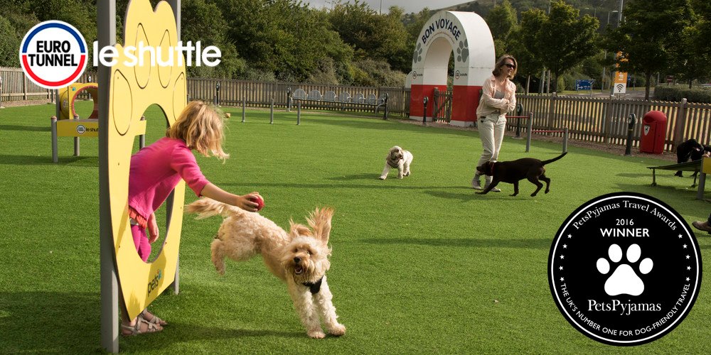 LeShuttle's tweet image. Delighted and proud to announce we've won the @PetsPyjamas 2016 'Best Dog Friendly Carrier' award!