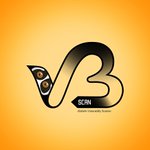 Photo by OWASP VBScan Project (@OWASP_VBScan)