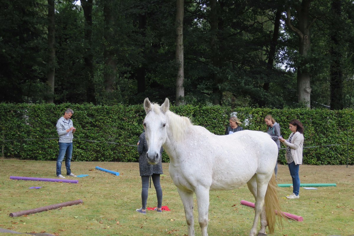 Je team nog succesvoller maken? Maak tijdens je vergadering tijd voor een teamactiviteit met inhoud <a href="/IKEV_CENTRAAL/">IKEV</a>; leuk om te doen!