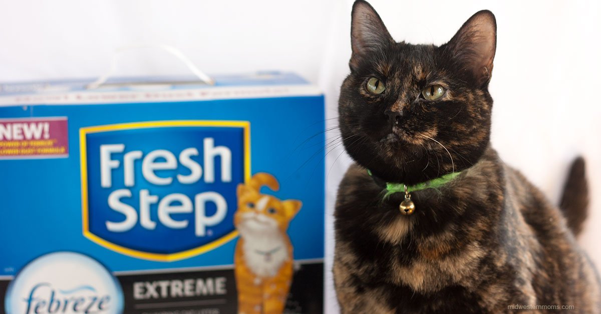 ThePlayfulKitty's tweet photo. Miss Kitty says she NEEDS an #Unsmellable litter box w/ the 10-day odor control guarantee from #FreshStepFebreze https://t.co/pcMHzbM3jJ #ad https://t.co/BvSVR3Kpwq