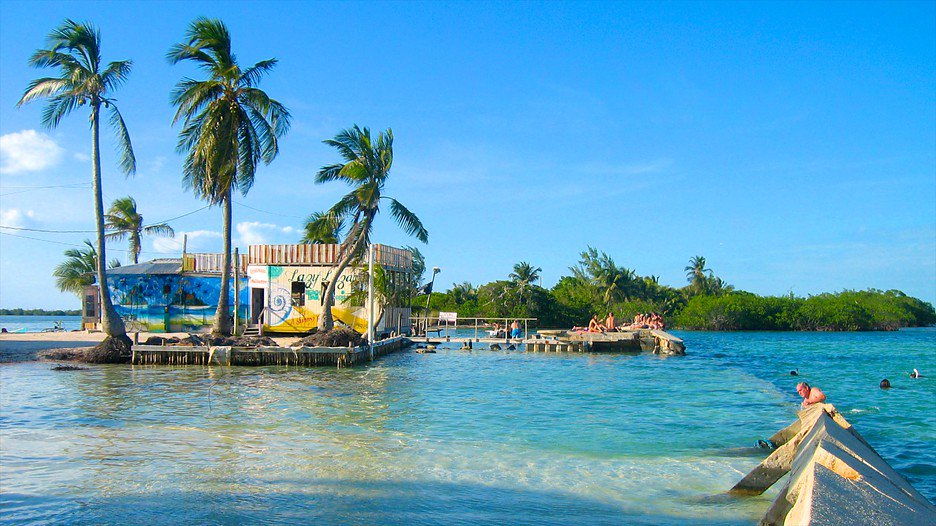 belizehub's tweet photo. Where to Spend Christmas &amp; New Years In Belize https://t.co/iOKfPzCriP #Belize #ChristmasinBelize #NewYearsinBelize #BelizeinDecember https://t.co/DklYDpBwS4