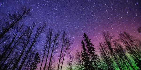 PollWithUs's tweet photo. The Northern Lights are breathtaking https://t.co/Gip07uQ7eS