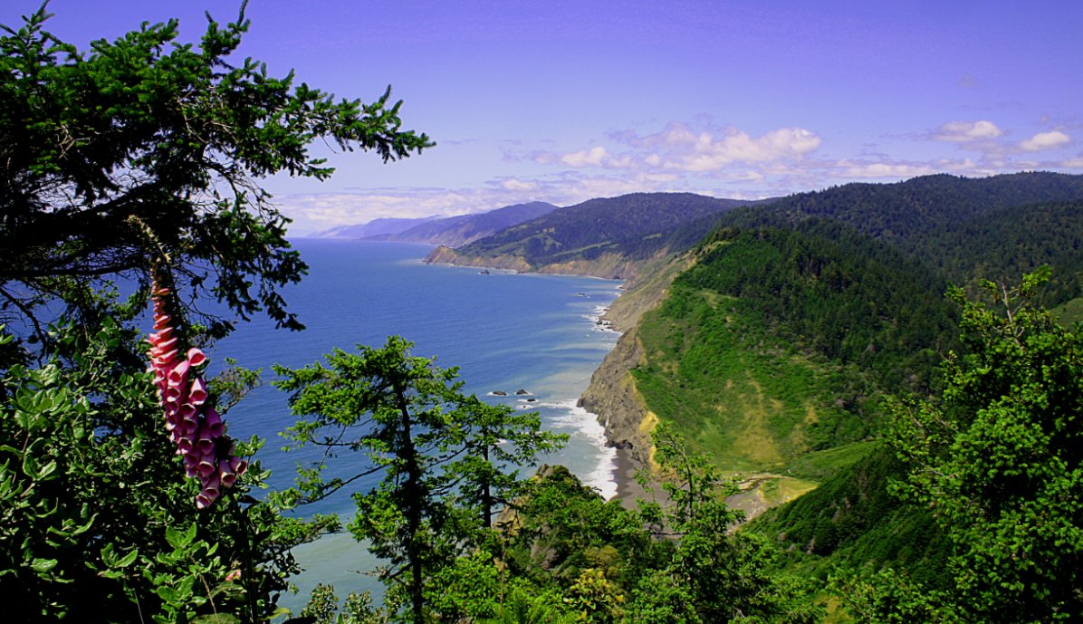 Outdover's tweet photo. #HappyFriday! Explore the wilderness one day at a time this weekend.
#GetOutside #Outdover #Outdoors https://t.co/FFutsE51Cx
