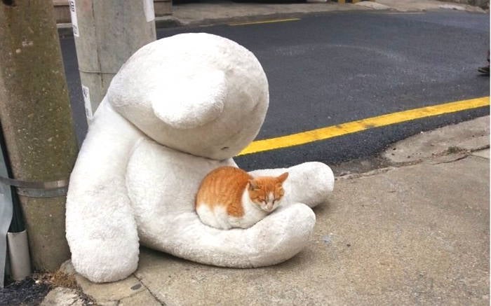 버려진 내게 기대는 건 너뿐이로구나