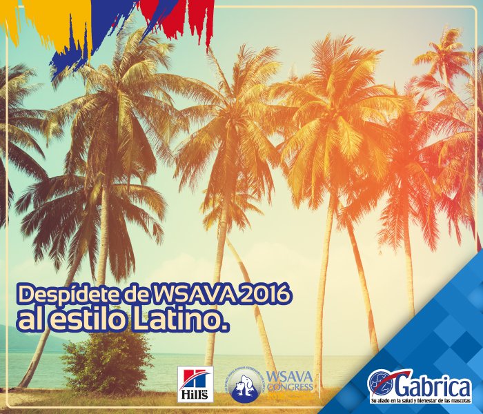 Gabricaco's tweet photo. #WSAVA2016:Prepárate para bailar junto a la playa con Gabrica. Te esperamos en la playa Torre del Mar del Hotel las Américas a las 8:00 pm. https://t.co/sQ65zgkcYZ