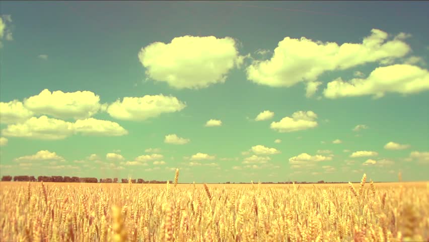 DPCConsults's tweet image. Adopting the right attitude can convert a negative stress into a positive one - Hans Seyle #accounting #feelgoodfriday