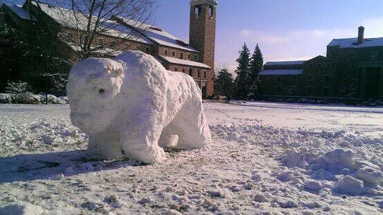 thechargebuffs's tweet photo. #BuffBlizzard this Saturday!!! #Whiteout https://t.co/704ASDB1Df