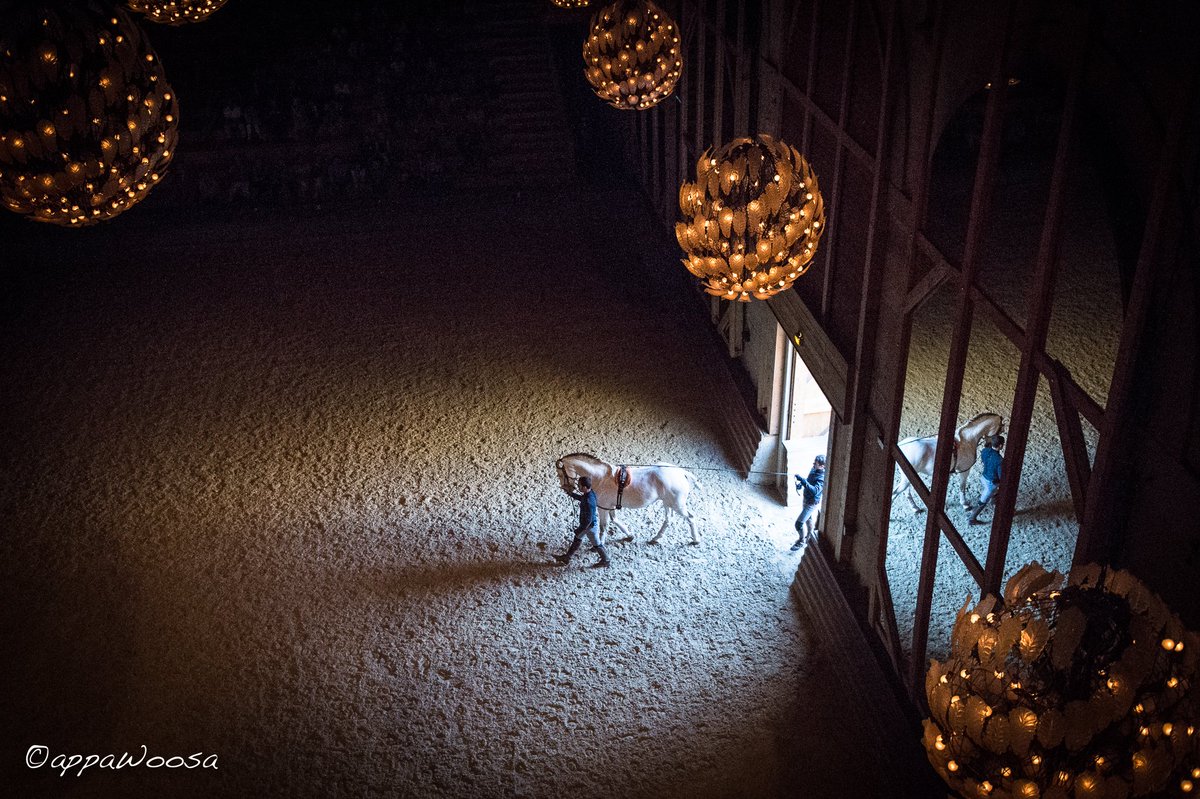 appaWoosa tweet media