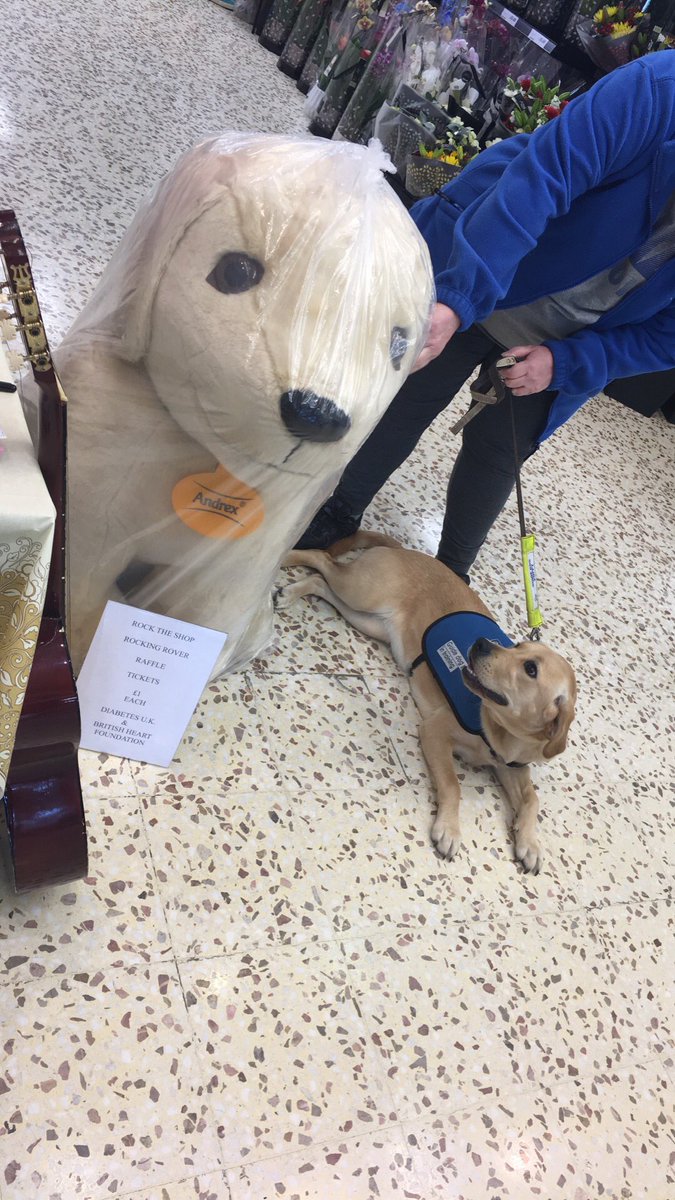Even a furry friends getting in on the action @RCFtescotweet <a href="/dicker_claire/">claire@loudwater</a> @DHadders10 @TashHammond <a href="/tress_steadman/">Tress Steadman</a>
