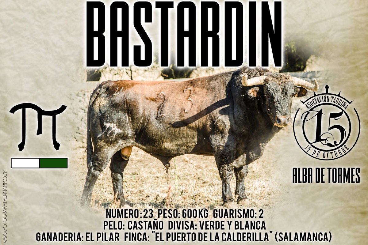 AT_15_Octubre's tweet photo. BASTARDIN, segundo toro para el 8 de octubre de 2016 en Alba de Tormes (Salamanca). Ganadería El Pilar. 17 horas. https://t.co/6o9I7ILaGy