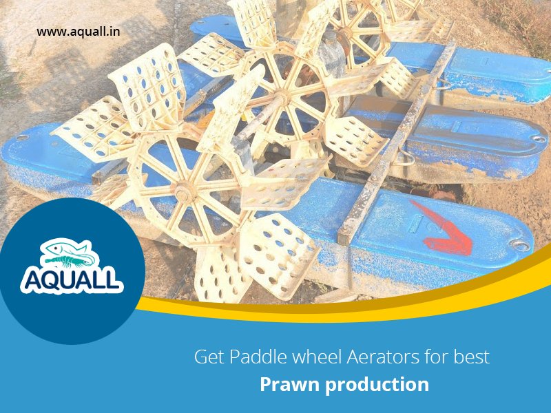 AquallIndia's tweet image. aquall.in
#aerators #aquall #paddlewheelaerators #aquaculture