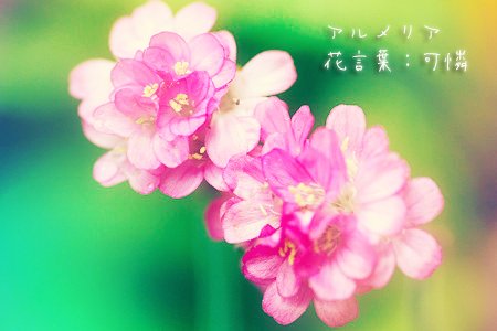 アルメリのtwitterイラスト検索結果 古い順 アルメリのtwitterイラスト検索結果 古い順