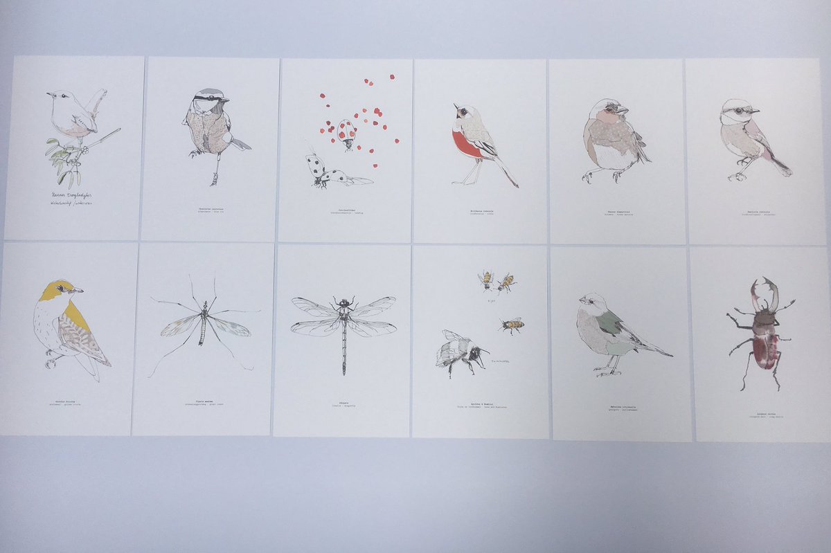 Printgarden's tweet photo. Hele mooie #natuurreproductie #MaartjevandenNoort @mohawkpaper https://t.co/B00Jy5Ew2G