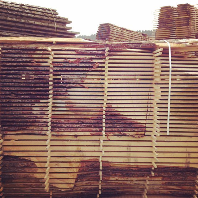 cockingsawmills's tweet photo. #WoodoftheWeek features a very special timber species, Cedrus Libani commonly called Cedar⦠https://t.co/CuYQMqcKFY https://t.co/5y7GgQUHLc