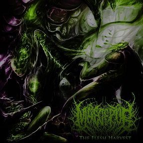 MusicExtreme's tweet photo. MALECEPTOR RELEASES "CHAPTER 2: THE FLESH HARVEST". https://t.co/5rYwkSxM31 #maleceptor #metal #deathmetal #musicextreme #brutal #metalmusic https://t.co/PaJ8XCD9SZ
