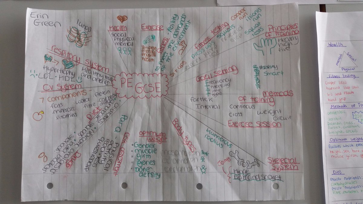 HGCSC's tweet photo. GCSE #PE theory group hard at work using new strategies of graphic organisers #RobinLaunder #BehaviourBuddy https://t.co/huBrmIrYC4