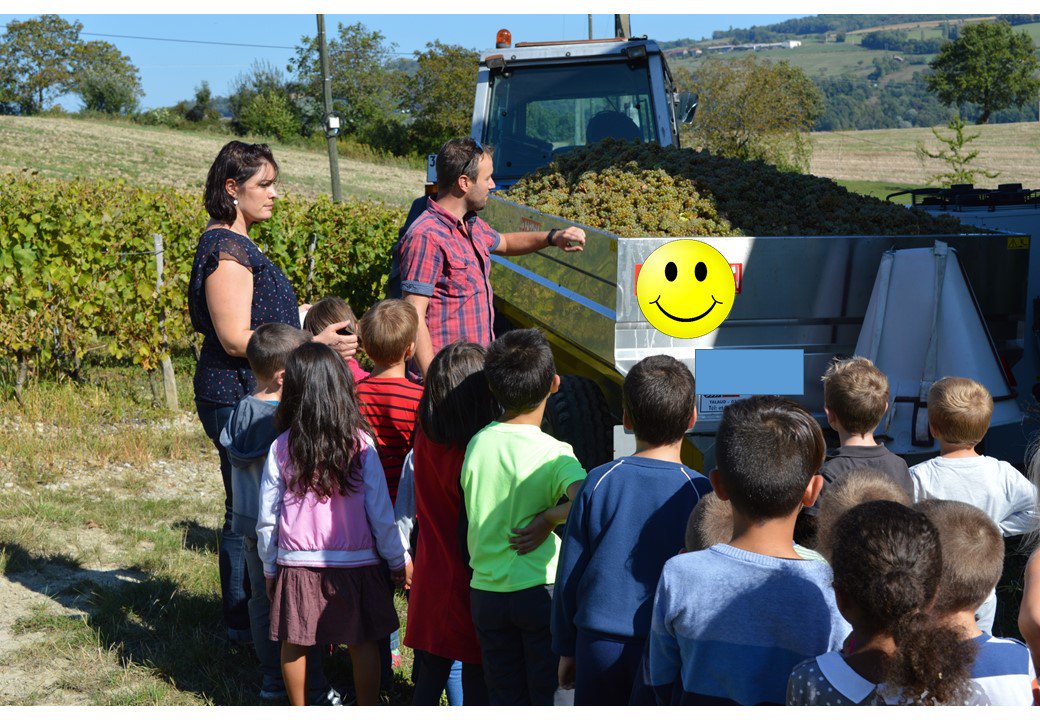 MaisonMollex's tweet photo. Après midi éducative avec les enfants d'une école toute proche venus faire leur propre récolte et leur propre jus de raisin ! https://t.co/ChY46AsoIV