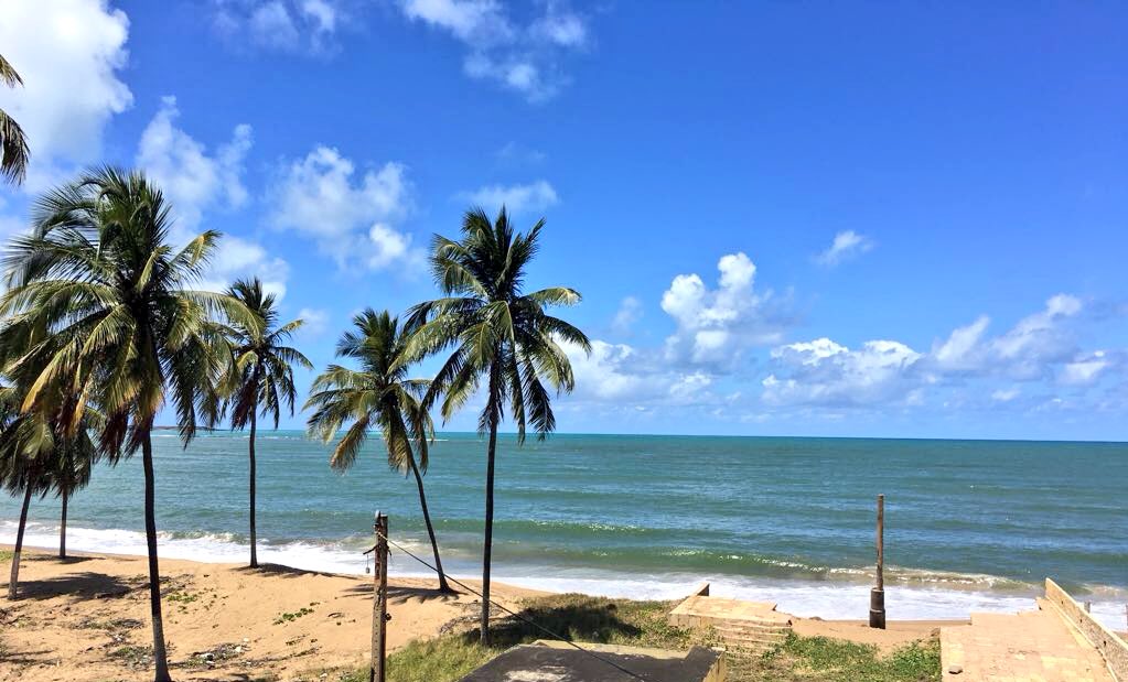 niquesteffane's tweet photo. Já sinto esse cheirinho de mar, de paz, da presença 😍🙌🏽🍃🌴 #VemAcamp https://t.co/SvikYjbwo6