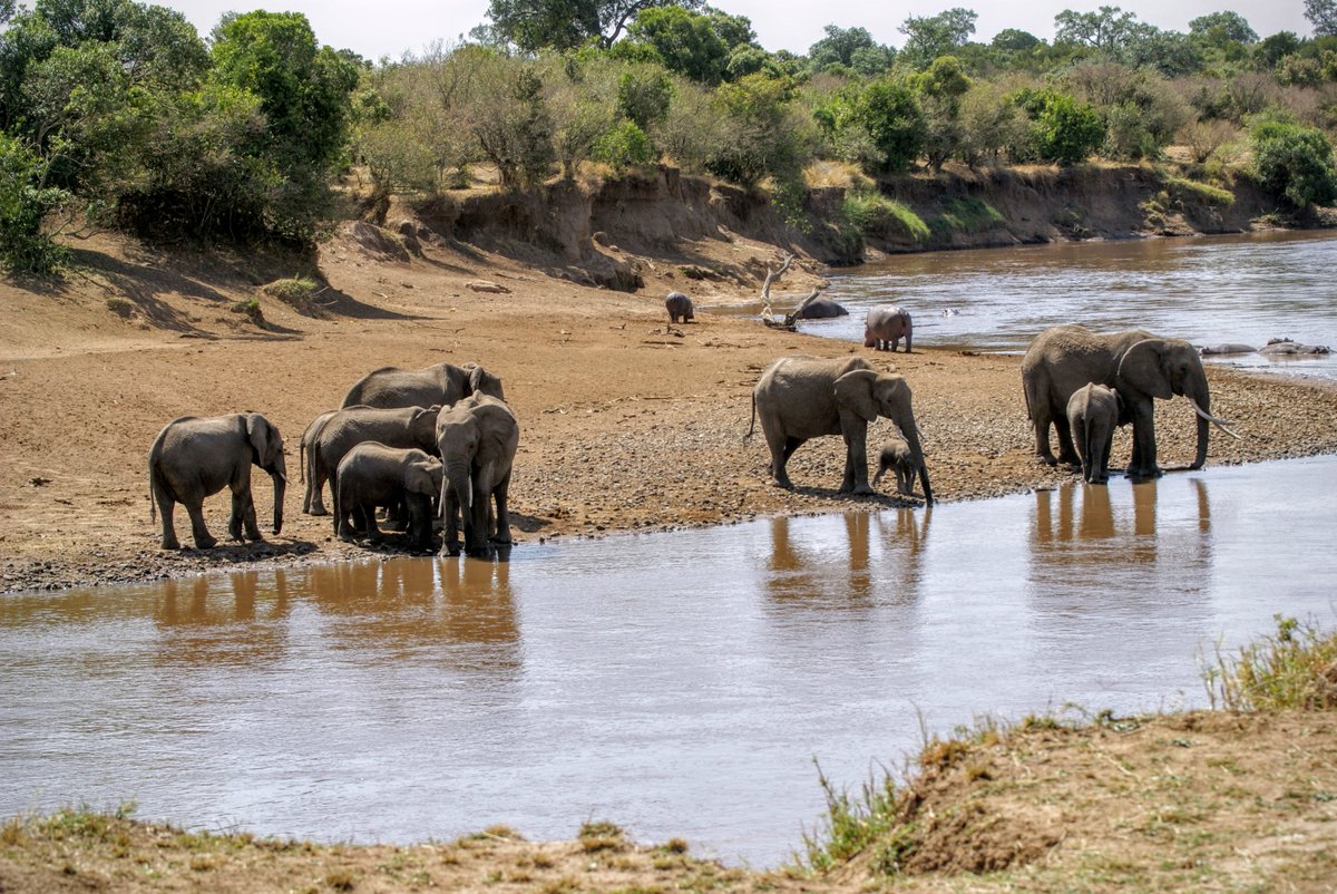 jeannewmanglock's tweet photo. Great article 2017 #Africa Trends.  @TWtravelnews @TravelBeyond 
 https://t.co/4LOcYhNPPC Photo: @jeannewmanglock https://t.co/YgHeulpUnv