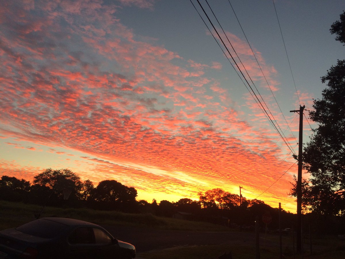 MarleneMenudo's tweet photo. Beautiful sunrise #elmendorfTX @KENS5 @mySA https://t.co/yDU71NGWTS