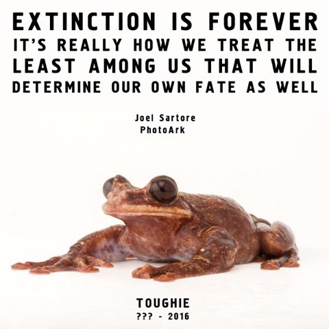 Ver imagem no Twitter Ver imagem no Twitter