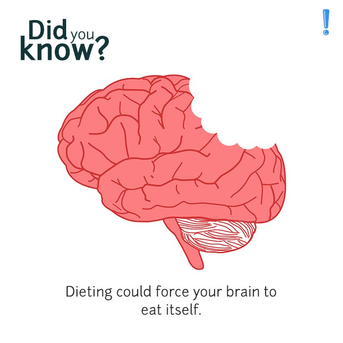 spammart_'s tweet photo. How long till you realise ‘Food is Life’ is not just a phrase. Oh wait! You don’t have a #brain to analyse that :P 
#DYK #diet #FactFriday https://t.co/NHQig4zwVA