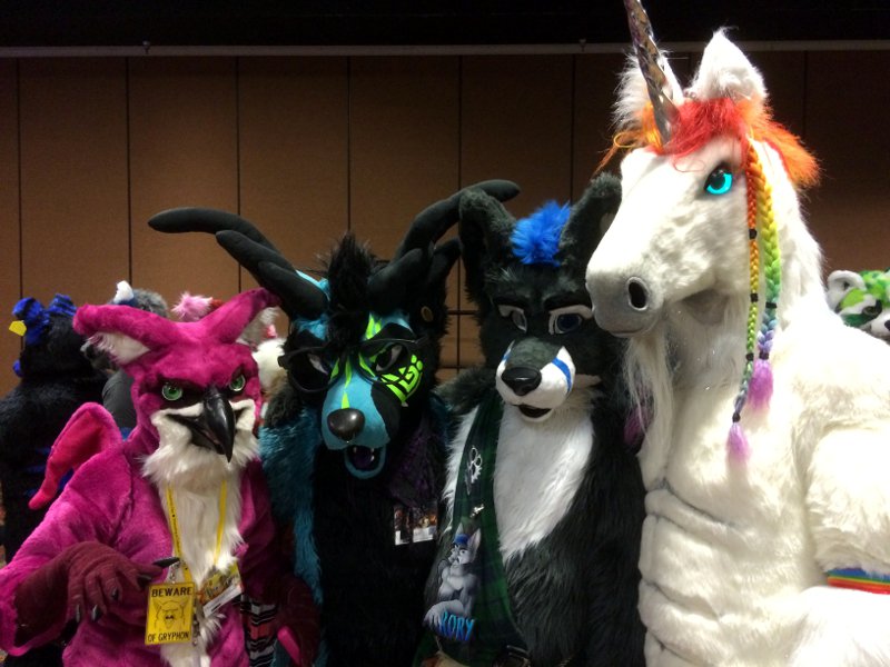 DragonFoxDemon's tweet photo. Happy #FursuitFriday taken at #RMFC2016 #Fursuit
@BlueFoxalope @sct431 @buckshotmercury https://t.co/G4YnCTHhmQ