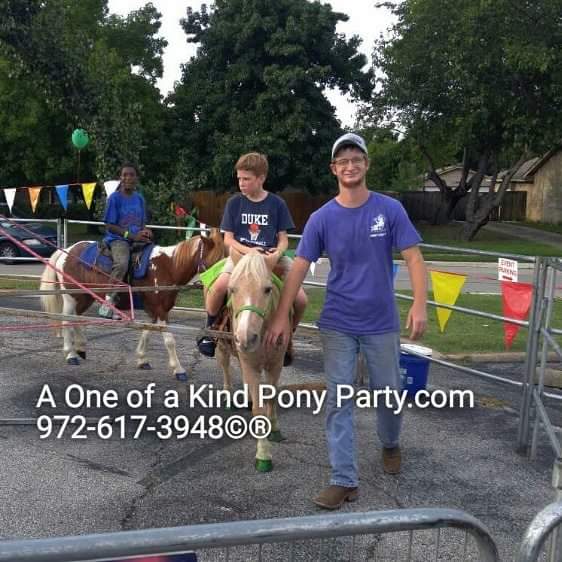 A1PonyParty's tweet photo. #A1ponyparty #ponyparty #ponyride #ponycarousel https://t.co/xj5axMeDC6