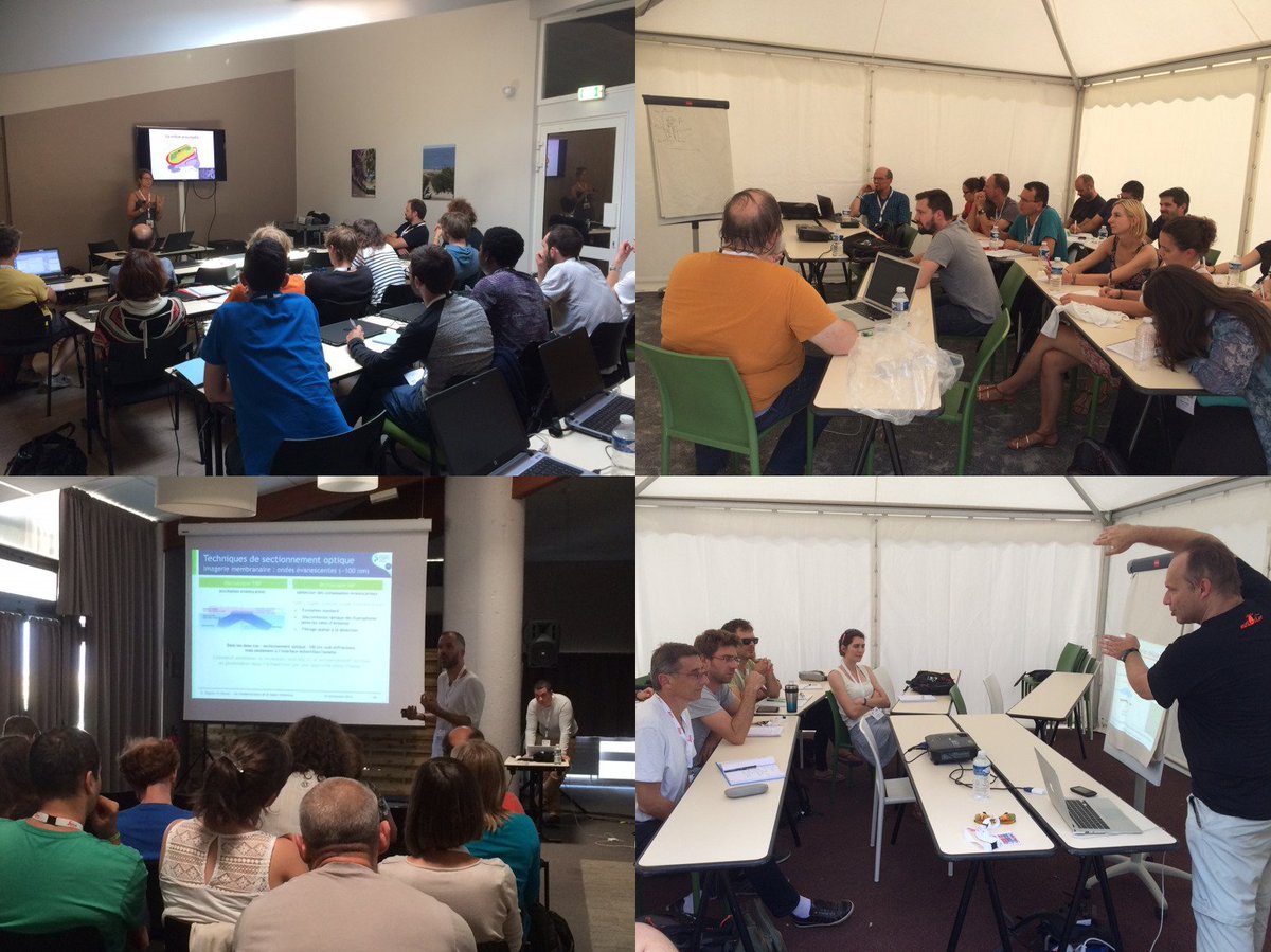 GDR_ImaBio's tweet image. On going at #MiFoBio introduction lectures on optics, super-resolution, image analysis and biology.