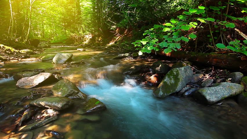 sharonePack's tweet photo. You Have Gone Before Me
Where You Lead Me
I Will #Follow https://t.co/Sa1IYToDMr