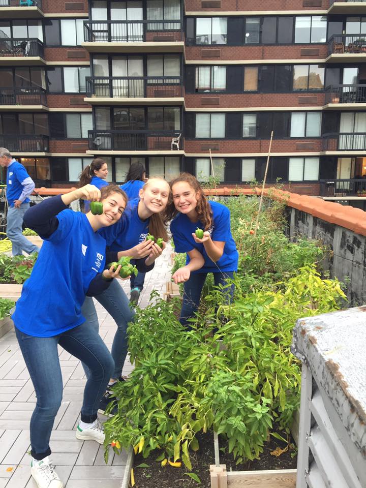 JanHusPC's tweet photo. Thanks to our volunteers from @YSOP for helping pick a ton of fresh veggies from Neighborhood Harvest! https://t.co/IMhEpLFaqI https://t.co/RBBGrenVy2