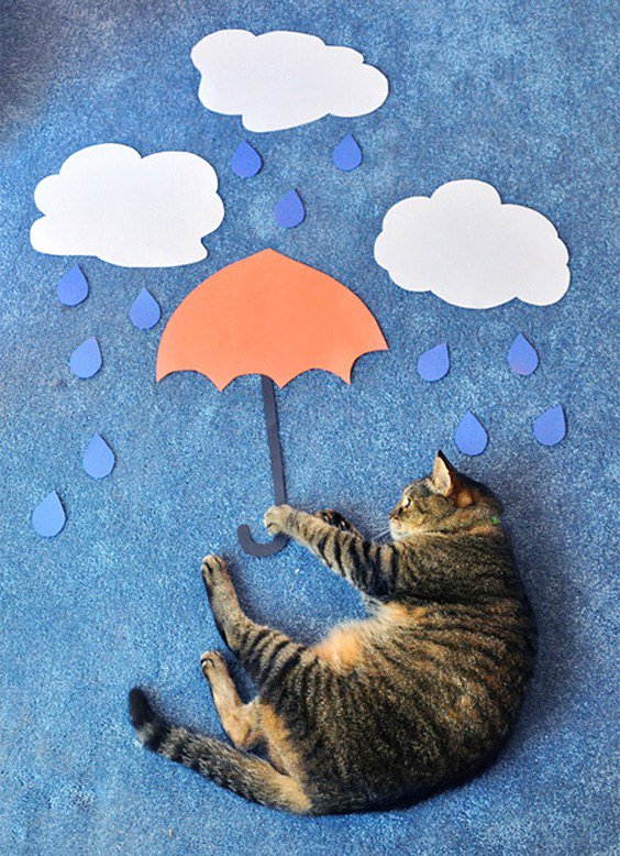 Blue Velvet : Chocochips radicioncearea.wordpress.com/2016/09/30/blu…