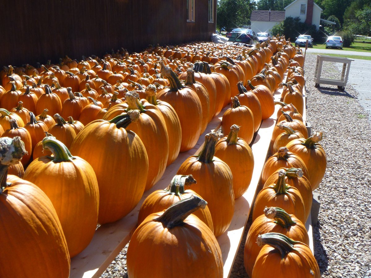 yelpvermont's tweet photo. π Fall is here and #Sammazzas has a proper Harvest Festival this Sat & Sun. Don't miss out on the fun! π #fallfun #pumpkinpatch #hayride https://t.co/eMuQP2Tymj